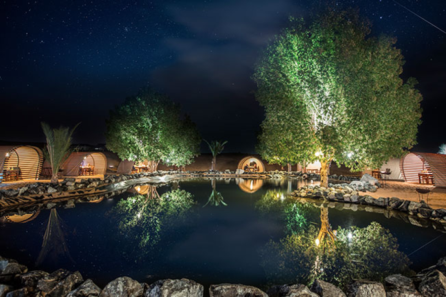 Platinum Desert Safari